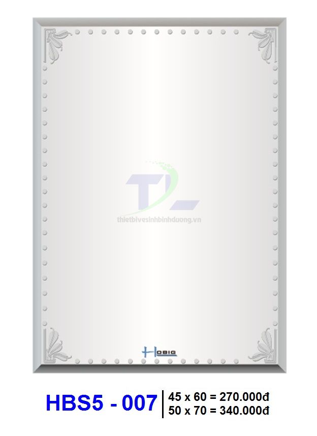 Gương soi phòng tắm HOBIG HBS5-007